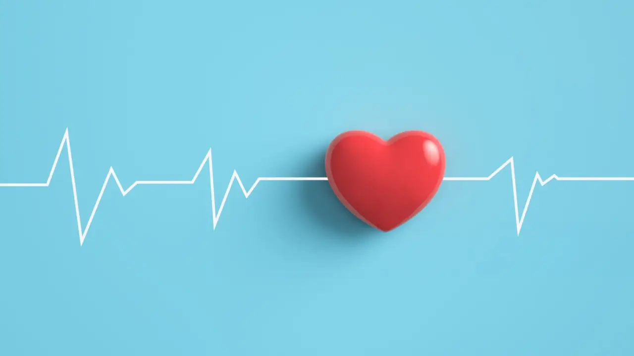 10 Fascinating Facts About The Human Heart You Must Know!