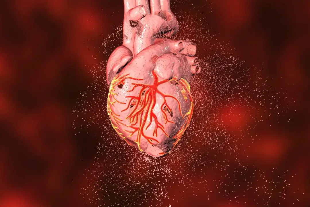 What is the difference between a heart attack and heart failure?