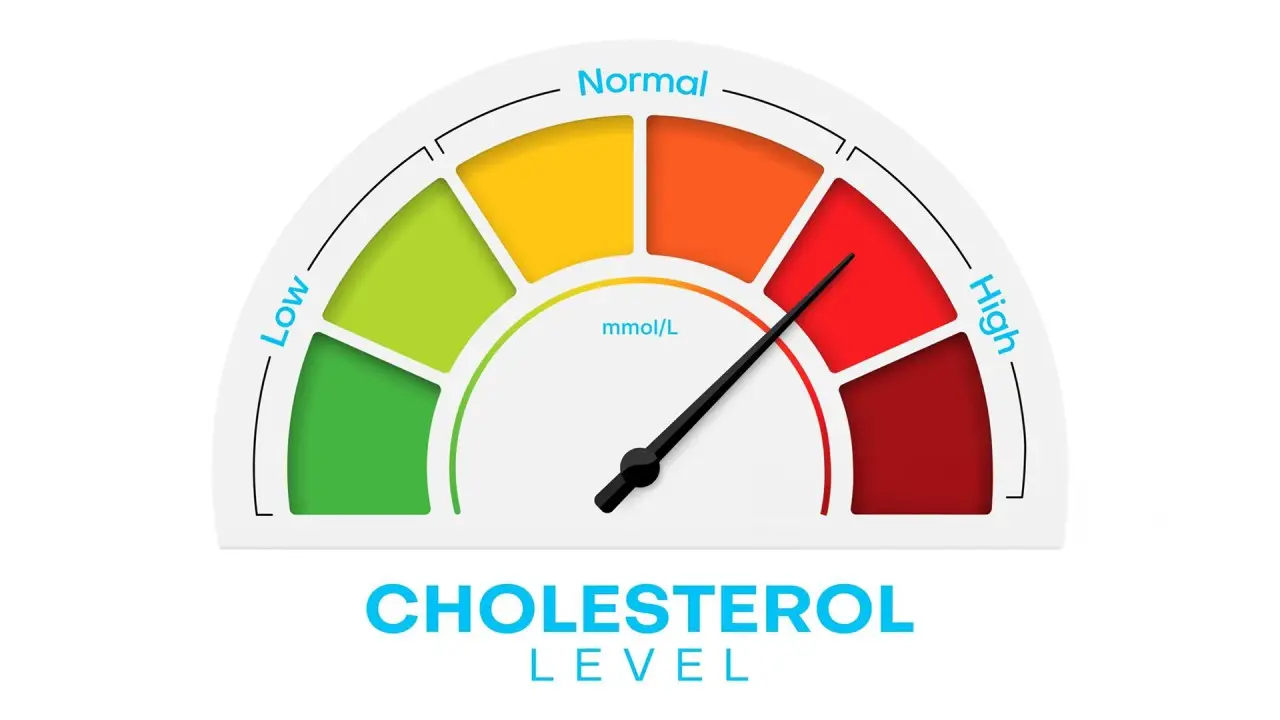 Understanding Cholesterol: How It Impacts Your Heart's Health