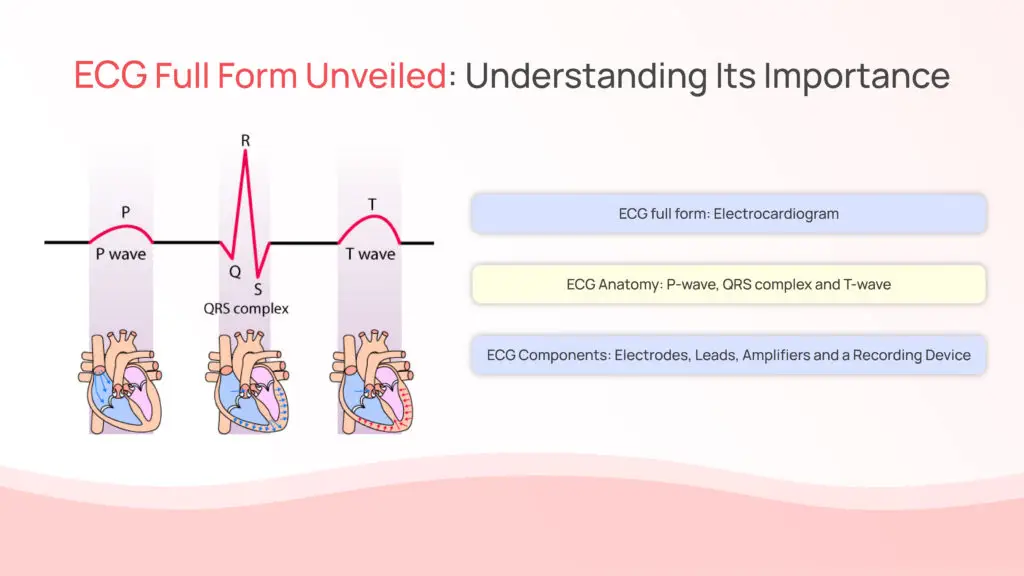 ECG Full Form Unveiled: Understanding Its Importance