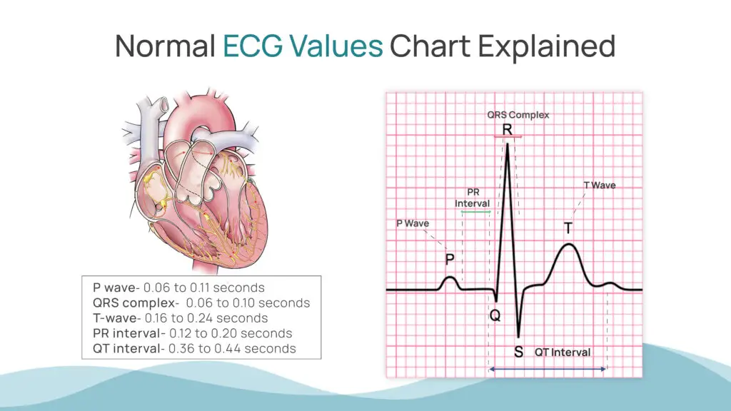 Normal ECG Values Chart Explained
