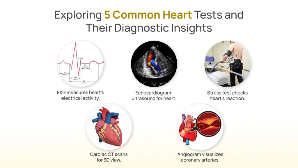 Exploring 5 Common Heart Tests and Their Diagnostic Insights