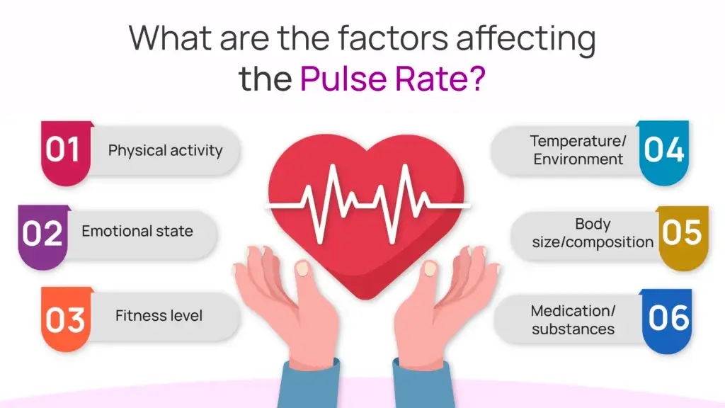 What are the Factors Affecting the Pulse rate?