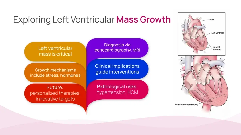 Exploring Left Ventricular Mass Growth