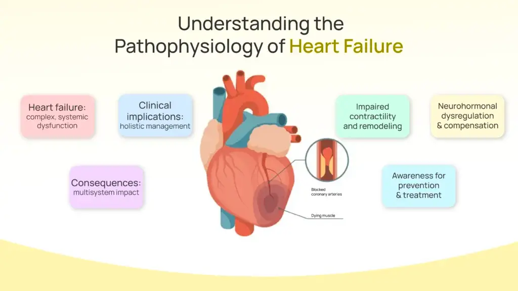 Understanding the Pathophysiology of Heart Failure
