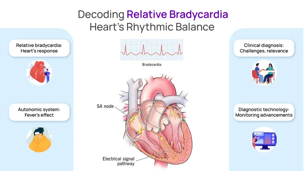 Decoding Relative Bradycardia: Heart's Rhythmic Balance
