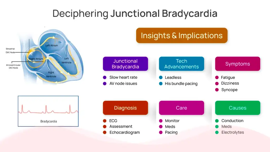 Deciphering Junctional Bradycardia: Insights & Implications