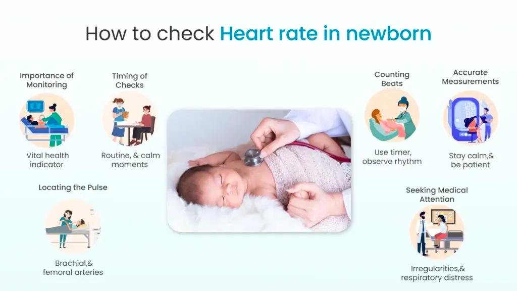 How to Check Heart Rate in Newborn?