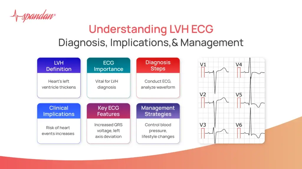 Understanding LVH ECG: Diagnosis, Implications, and Management