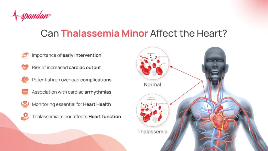 Can Thalassemia Minor Affect the Heart?