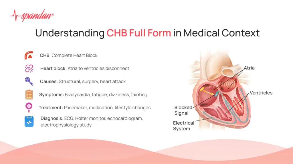 Understanding CHB Full Form in Medical Context