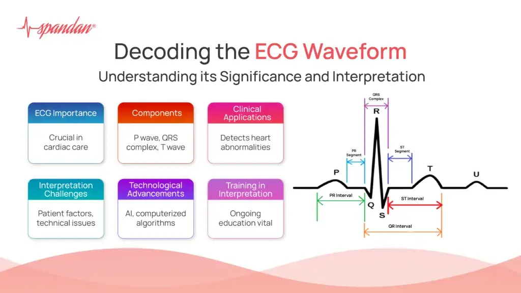 Decoding the ECG Waveform: Understanding its Significance and Interpretation
