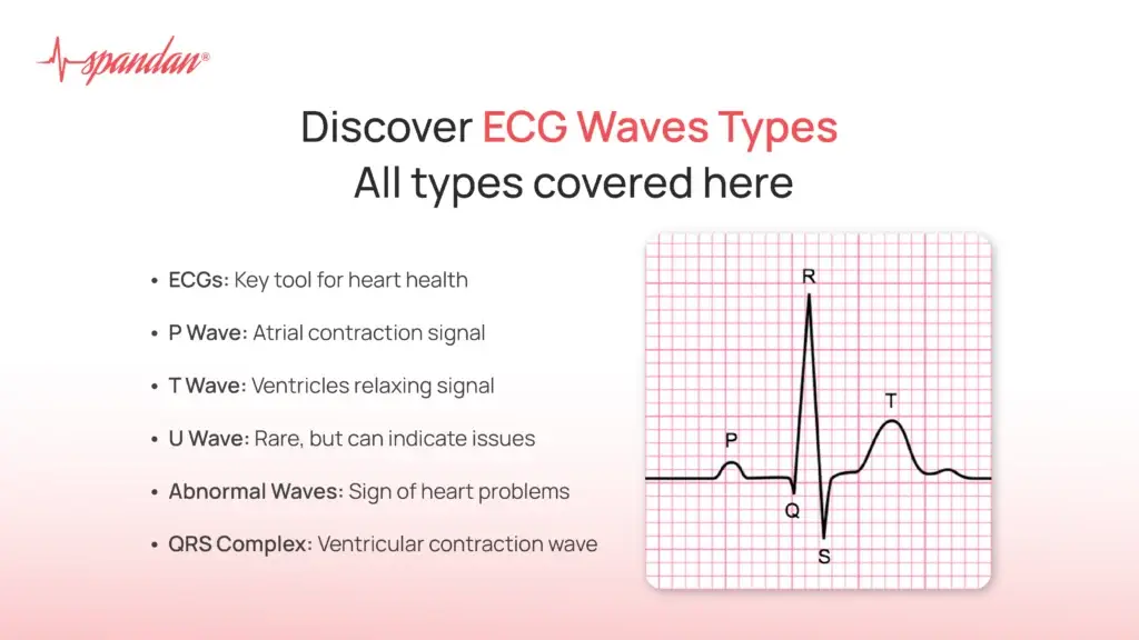 Discover ECG Wave Types: All types covered here