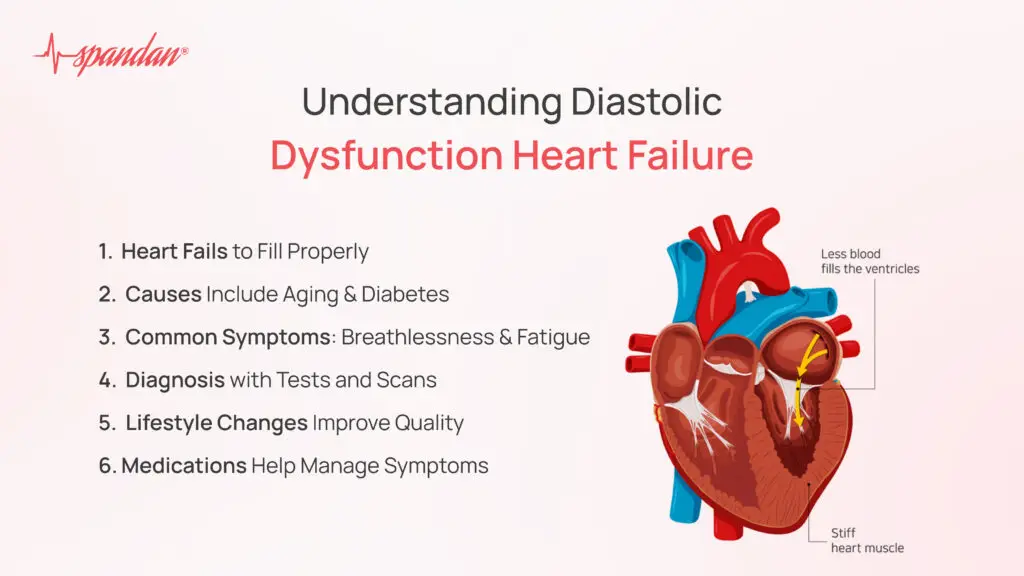 Understanding Diastolic Dysfunction Heart Failure