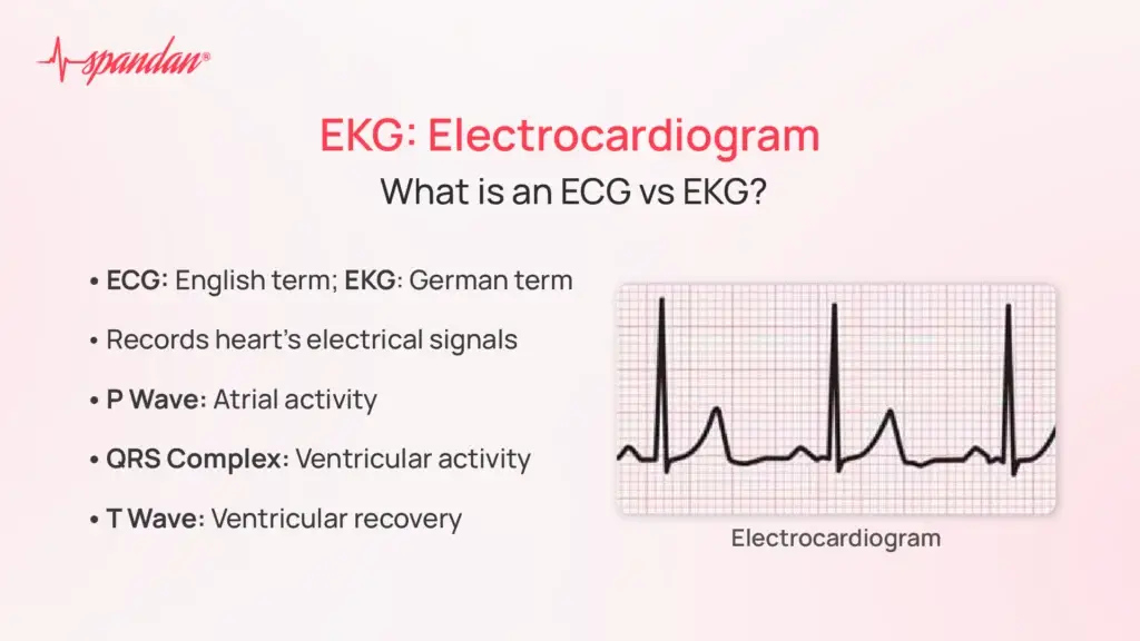EKG: Electrocardiogram, What is an ECG vs EKG?