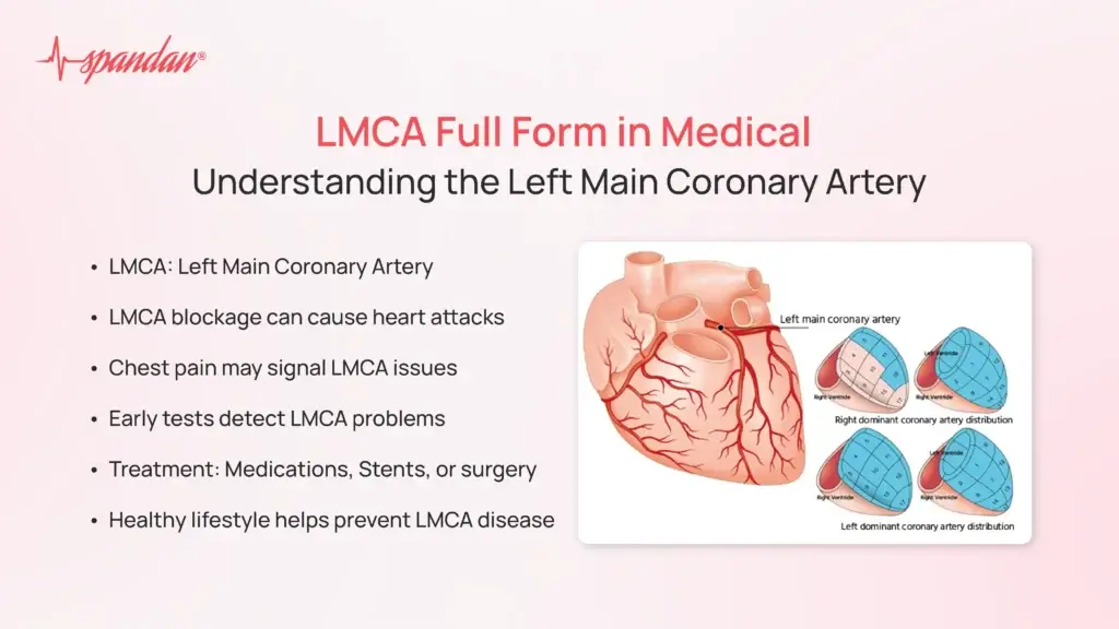 LMCA Full Form in Medical: Understanding the Left Main Coronary Artery