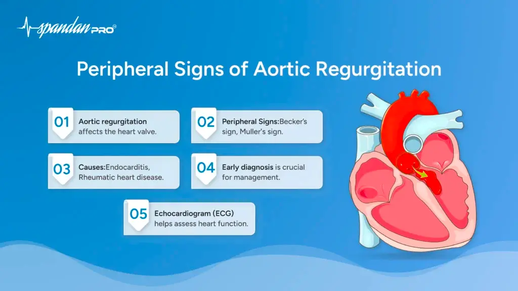 Peripheral Signs of Aortic Regurgitation