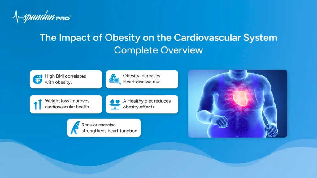 The Impact of Obesity on the Cardiovascular System: Complete Overview