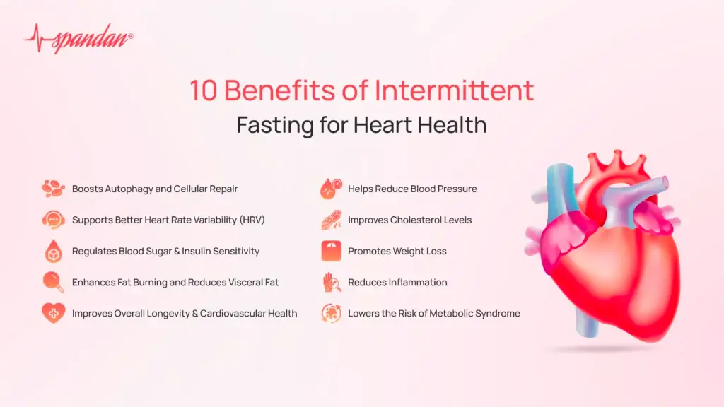 10 Benefits of intermittent fasting for heart health