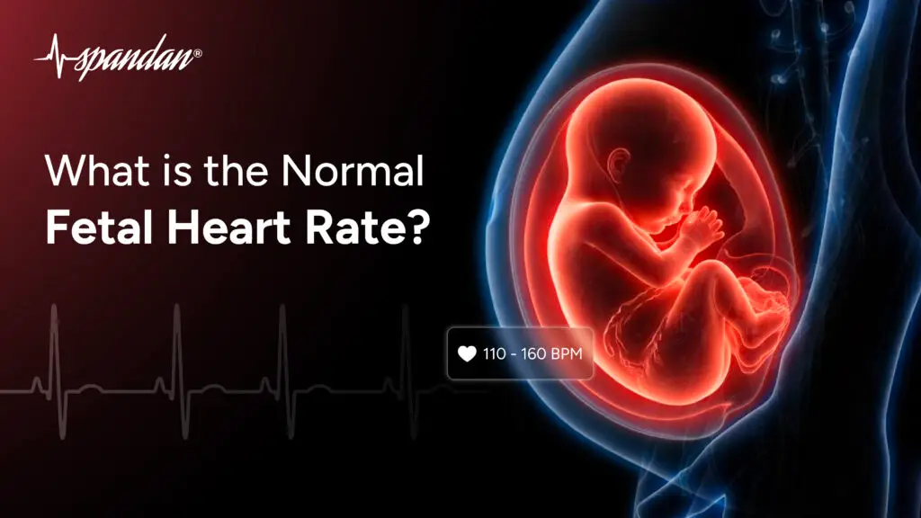 What is the Normal Fetal Heart Rate?