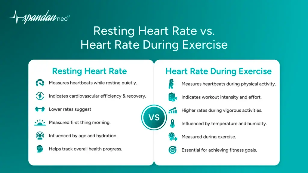 Resting Heart Rate vs. Heart Rate During Exercise: What’s the Difference?