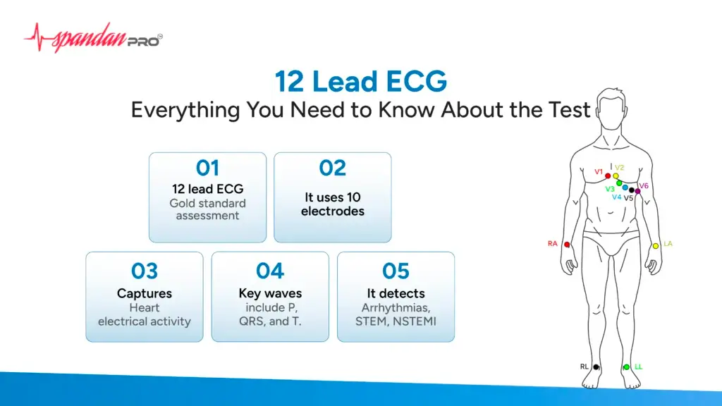 12 Lead ECG: Everything You Need to Know About the Test