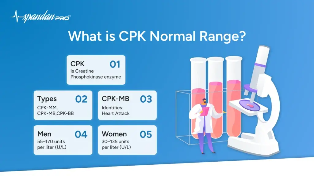 What is the CPK Normal Range?