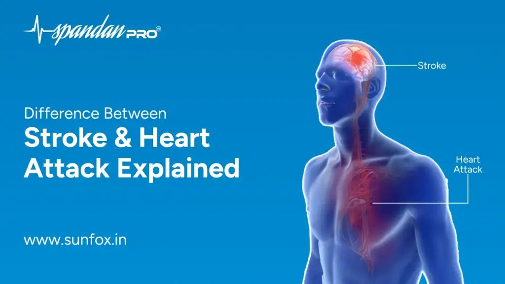 Difference Between Stroke and Heart Attack Explained