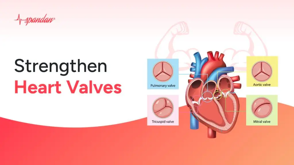 How to Strengthen Heart Valves Naturally: 7 Proven Ways