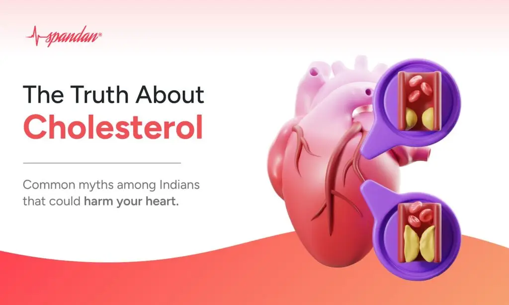 The Truth About Cholesterol: Common Myths Among Indians That Could Harm Your Heart