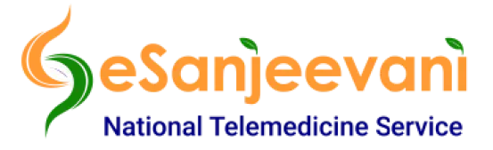 Partner 17